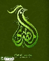 (٧٧٤) المهدي طاووس أهل الجنة