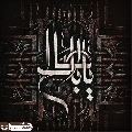 (٧٨٥) يا أبا صالح
