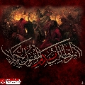 (٧٨٩) أين الطالب بدم المقتول بكربلاء
