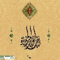 (٨١٦) يا بن البدور المنيرة