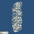 (٨٦٣) اللهم عجل لوليك الفرج