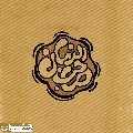 (٨٦٤) صاحب الزمان