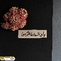 (٨٨٤) يا بن السادة المقربين