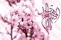 (٥٤) يا ابا صالح المهدي