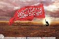 (١٩٢) اين الطالب بدم المقتول بكربلاء