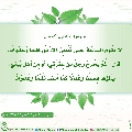 الأحاديث المهدوية- ١