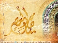 (٢٣٥) يا صاحب العصر