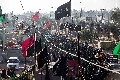 (٦٥٤)