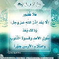 الأحاديث المهدوية- ٢٨