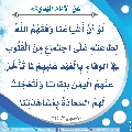 الأحاديث المهدوية- ٢٩