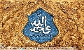 (٢٦٠) وجه الله