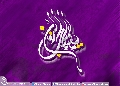 (٢٦٥) يا صاحب الزمان