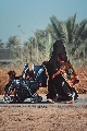 (٨٥٦)