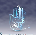 (٣٣٣) يا أبا صالح المهدي