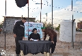 (٩٨) أحد مبلغي الحوزة وهو يجيب على الأسئلة من قبل زوار الإمام الحسين عليه السلام