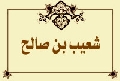 شعيب بن صالح