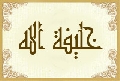 خليفة الله