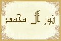 نور آل محمد