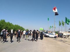 الزائرون يجتازون تخوم المثنّى والديوانيّة تستقبلهم عبر مدينة الحمزة