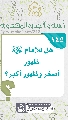 (١٤٥) هل للإمام (عجّل الله فرجه) ظهور أصغر وظهور أكبر؟
