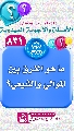 (٨٣١) ما هو الفرق بين الموالي والشيعي؟